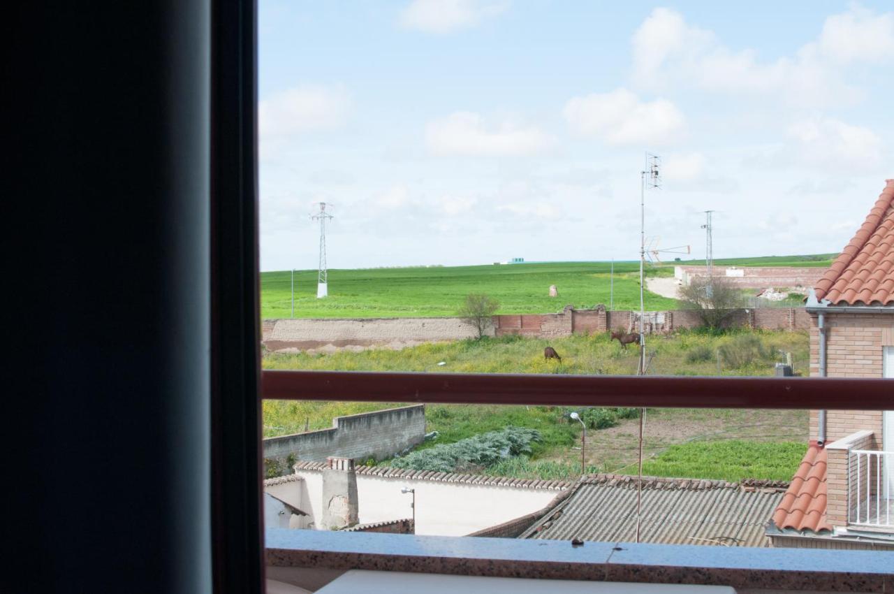 Hostal Concepcion La Mata  エクステリア 写真